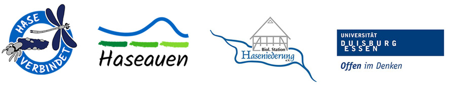 Verbundpartner im Projekt Hase verbindet: Haseauenverein, Biologische Station Haseniederung und die Uni Duisburg-Essen, Abteilung Aquatische Ökologie