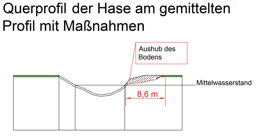 Uferberme, Hase verbindet