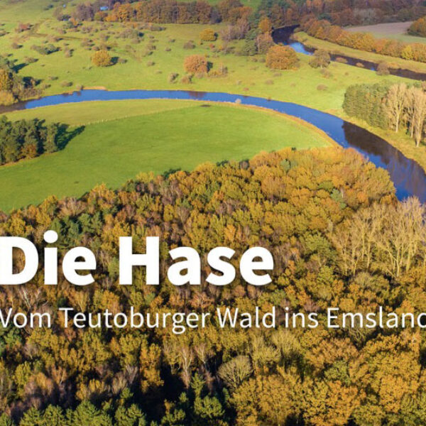 Buchvorstellung: DIE HASE