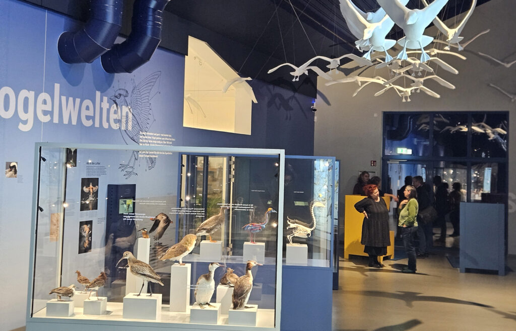 Ausstellung nbz Alfsee