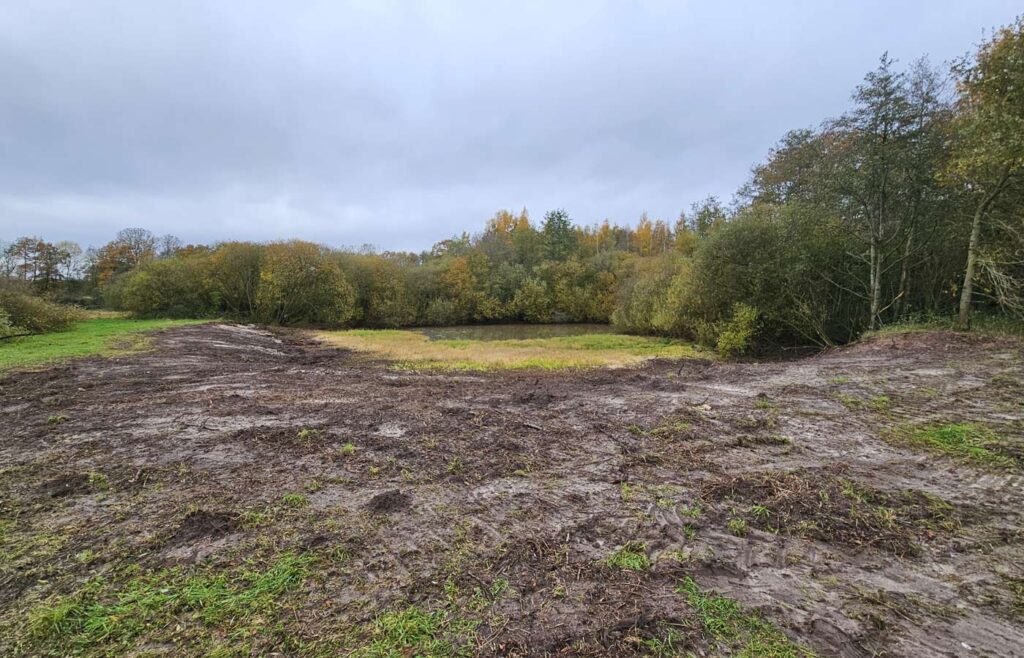 Kleingewässer für Libellen