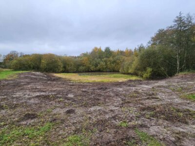 Uferbereiche für Libellen