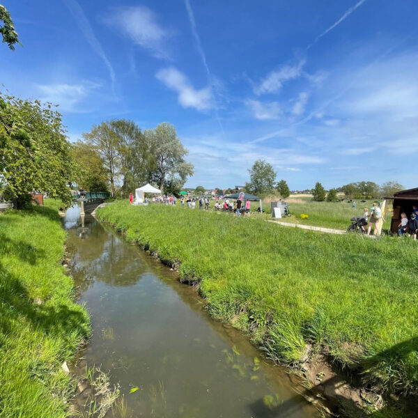 Umweltbildungsstandort „Bifurkation“