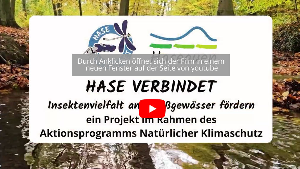 Durch Anklicken öffnet sich der Film in einem 
neuen Fenster auf der Seite von youtube