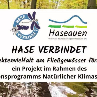 Film zum Projekt „HASE VERBINDET – Insektenvielfalt am Fließgewässer fördern“