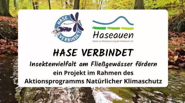 Film zum Projekt „HASE VERBINDET – Insektenvielfalt am Fließgewässer fördern“