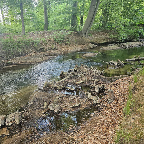Bach im Fluss 2026: Jury-Bereisung an der Wierau