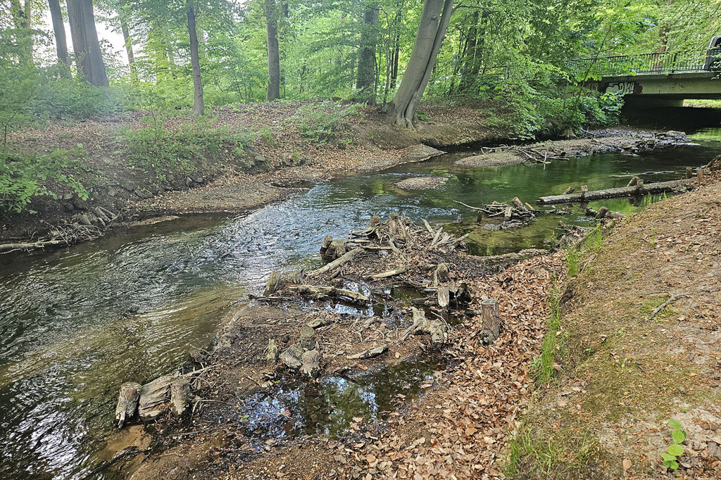 Bach im Fluss 2026