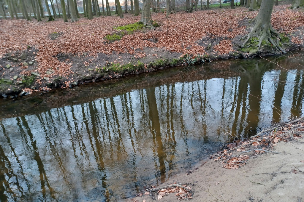 wierau-bach-im-fluss