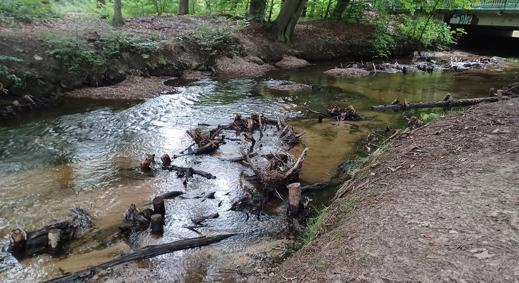 Totholzelemente in Fließgewässern