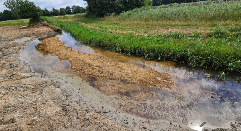 Revitalisierung des Wehdemühlenbaches